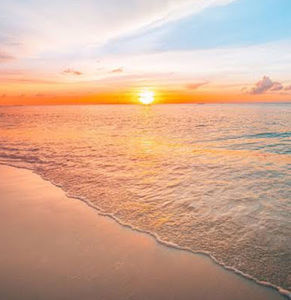 Meet your Posher, Shona